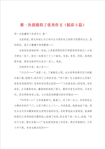 那一次我懂得了优秀作文精彩3篇