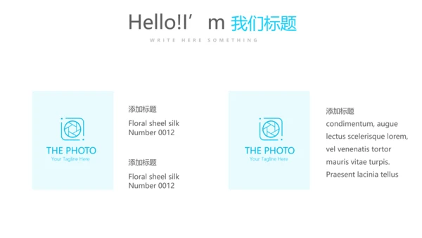 蓝色医疗牙科工作汇报动态PPT