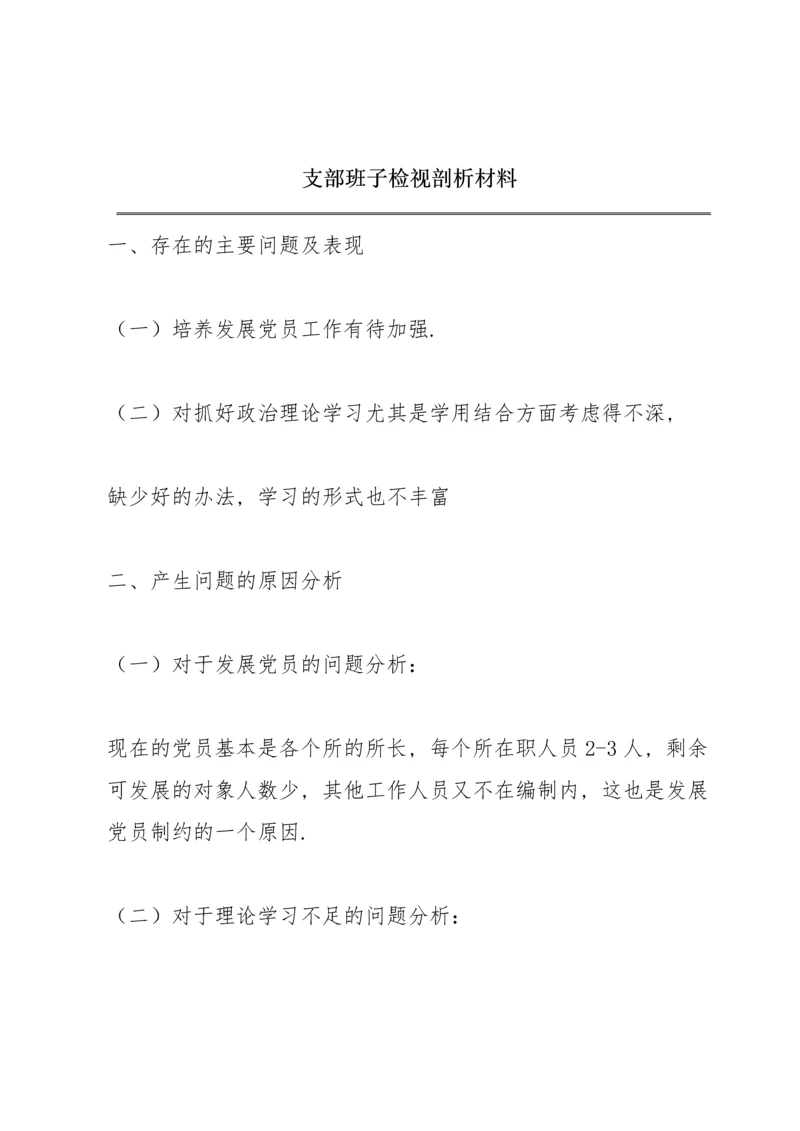 支部班子检视剖析材料.docx