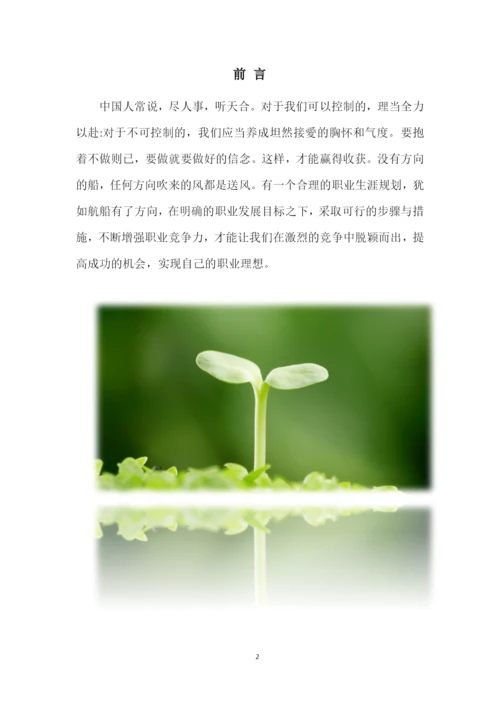 15页5400字音乐学专业职业生涯规划.docx