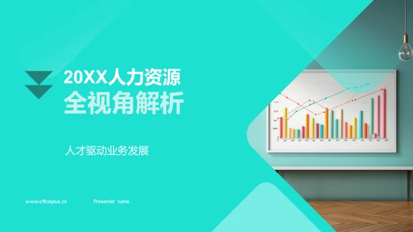 20XX人力资源全视角解析