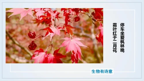 七年级生物学开学第一课-2023-2024学年七年级生物上册同步精品课堂（苏科版）(共32张PPT)