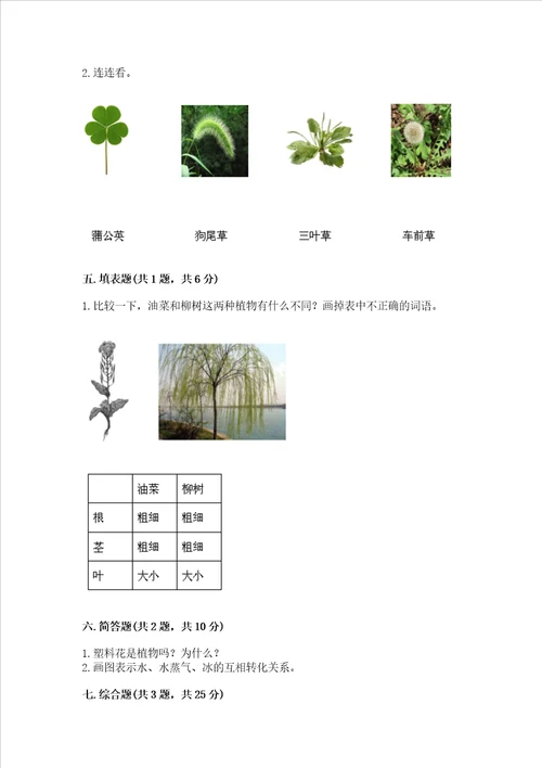 教科版科学一年级上册第一单元植物测试卷精品易错题