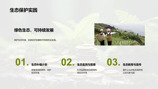 绿色林业新篇章