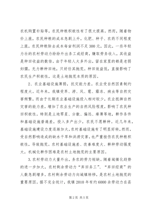 土地抛荒情况调研报告 (3).docx