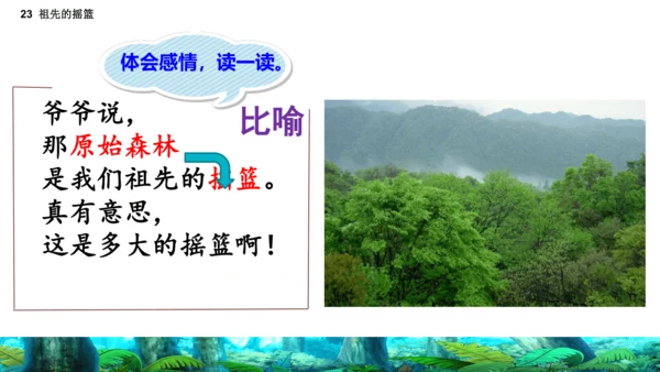 23祖先的摇篮（课件）