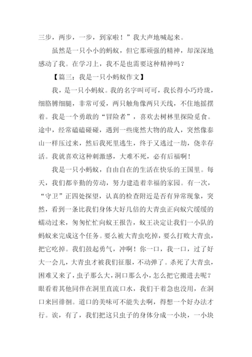 一只小蚂蚁作文.docx