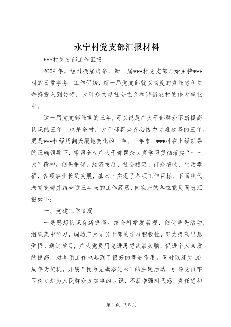 永宁村党支部汇报材料 (4).docx