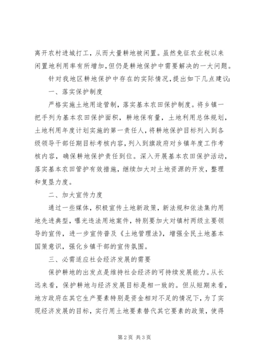 国土所关于耕地保护工作的调研报告 (3).docx