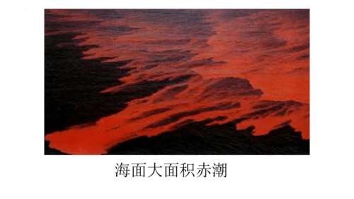 人教版生物七年级上册1.3.4 单细胞生物 教学课件（共22张ppt）+视频素材