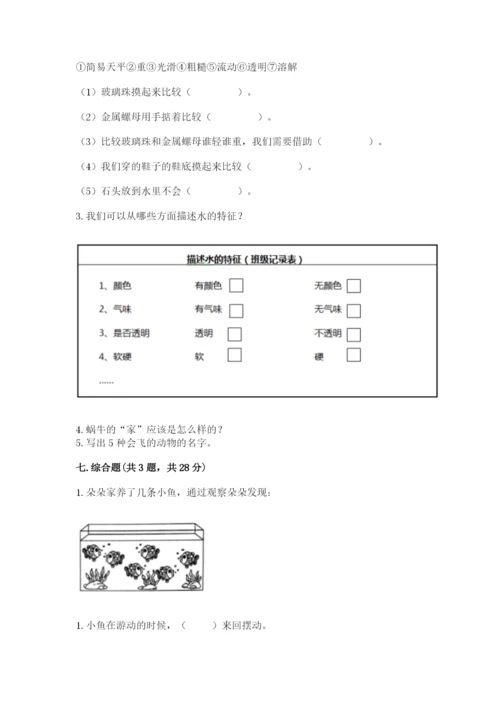 教科版一年级下册科学期末测试卷及参考答案（预热题）.docx