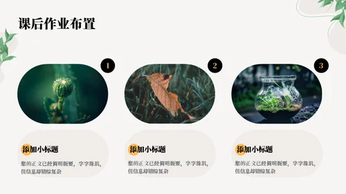 薄荷叶子清新教学通用PPT模板