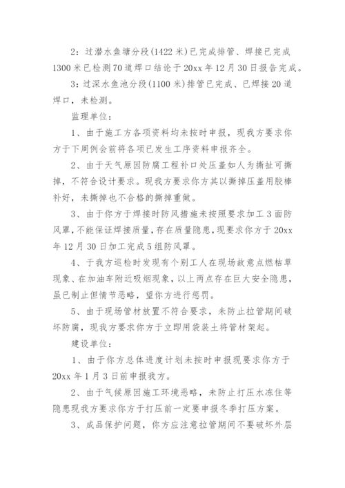 监理例会会议纪要_1.docx