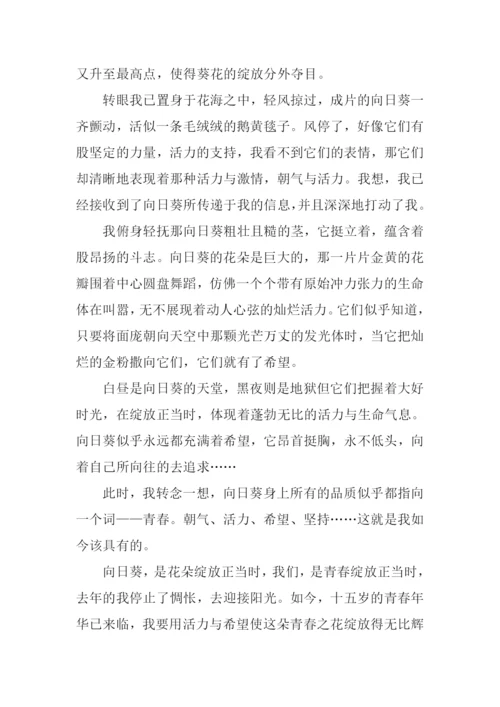 什么正当时作文.docx