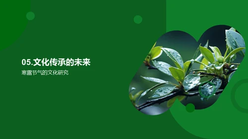 寒露节气文化探寻