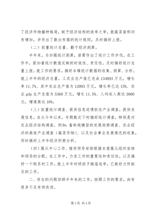 乡镇统计工作总结范文.docx
