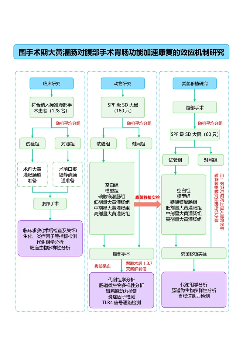 蓝绿色简约通用论文流程图