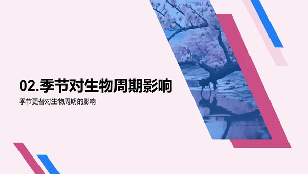 立春生物学解析