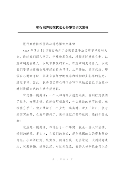 银行案件防控优选心得感悟例文集锦.docx