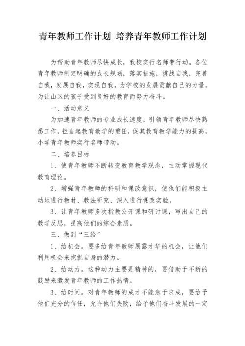 青年教师工作计划 培养青年教师工作计划.docx