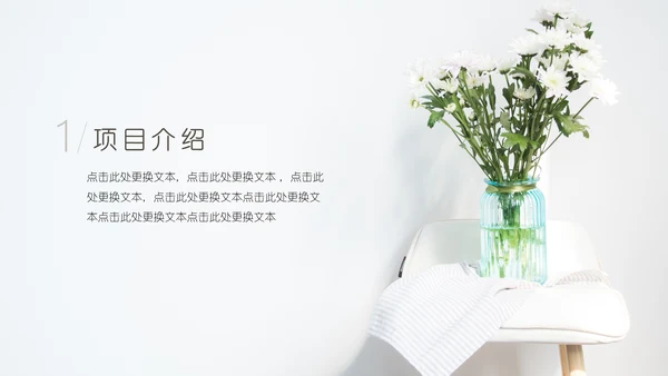 简约白菊封面商业计划书通用PPT模板