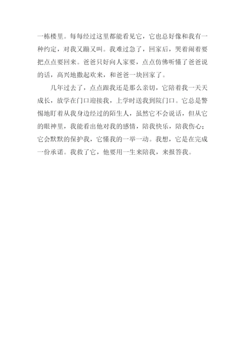 无言的回报作文600字.docx