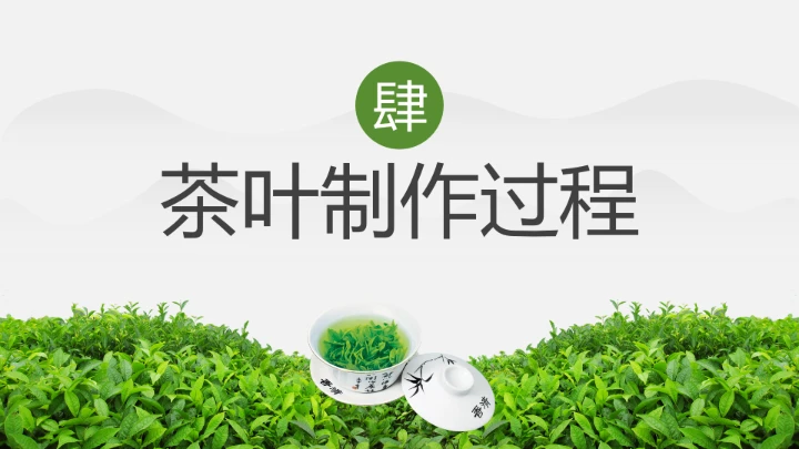 茶叶的故事 中国传统茶文化介绍主题班会课件