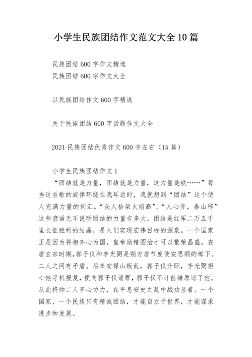 小学生民族团结作文范文大全10篇.docx