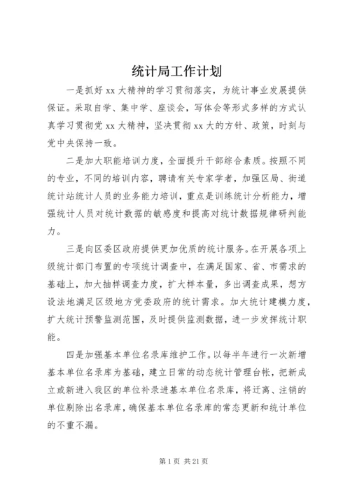 统计局工作计划 (5).docx