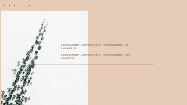 咖色欧美商务商业计划书PPT模板