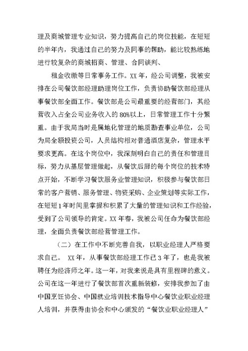 高级经济师专业技术工作总结