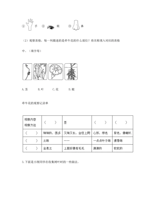 教科版一年级上册科学期末测试卷及参考答案1套.docx