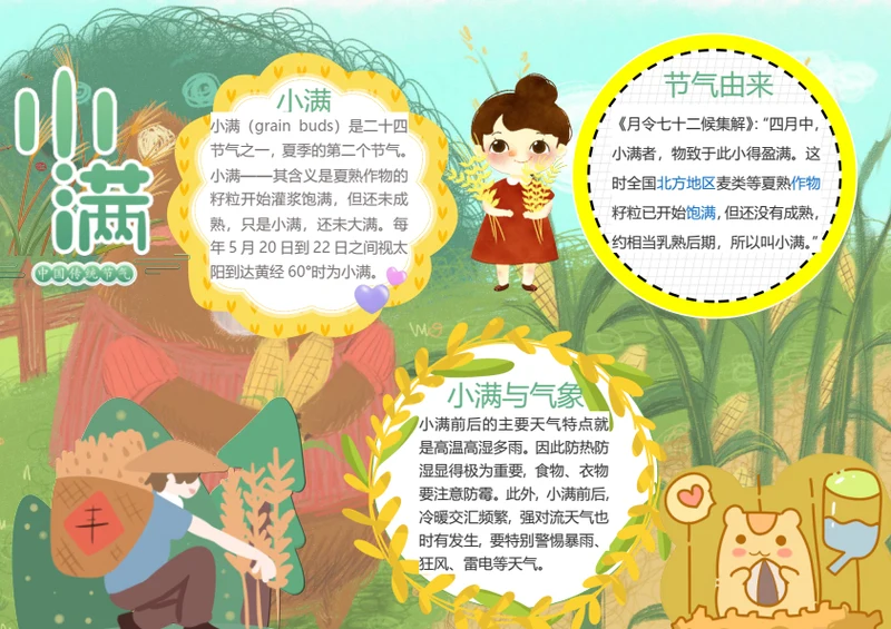 小满传统节气Word小报