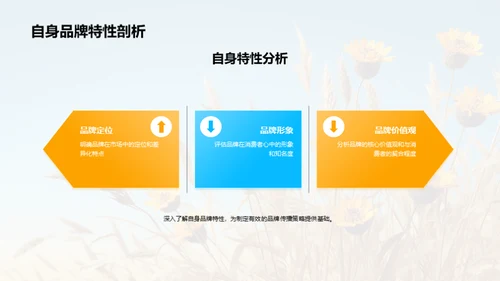 大暑节气品牌传播