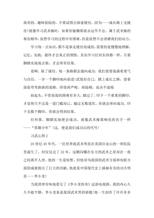 范文习武心得总结6篇.docx