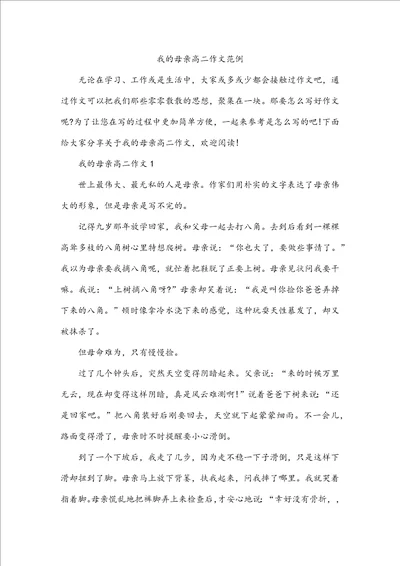 我的母亲高二作文范例