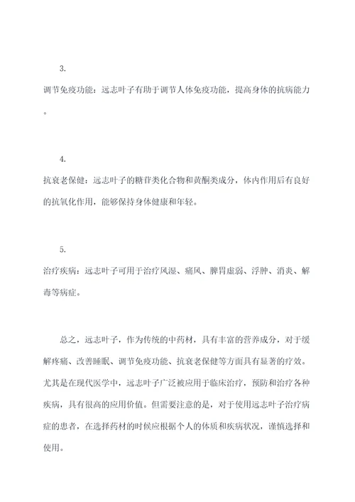 远志叶子功效与作用