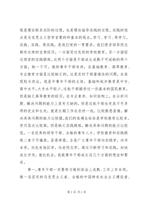 在青年干部座谈会的讲话.docx