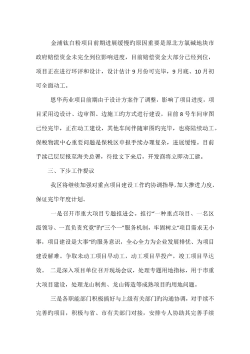 项目建设汇报材料.docx