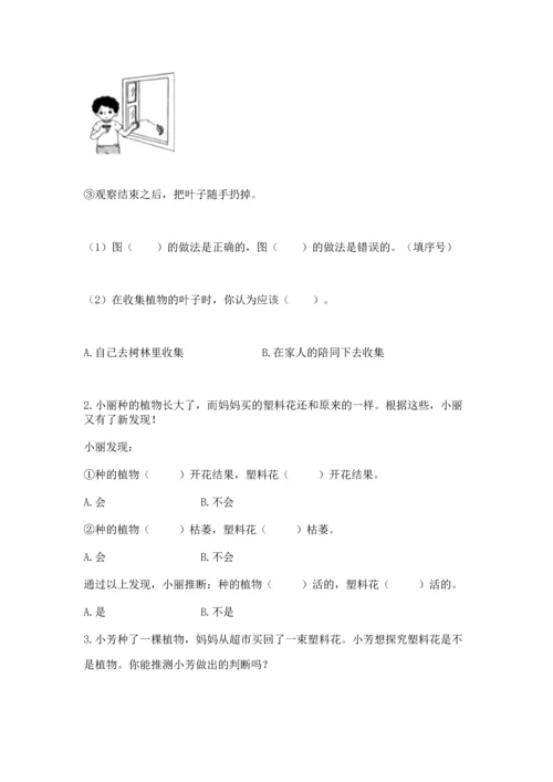 教科版科学一年级上册第一单元《植物》测试卷（精练）.docx