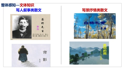 第16课《永久的生命》同步课件