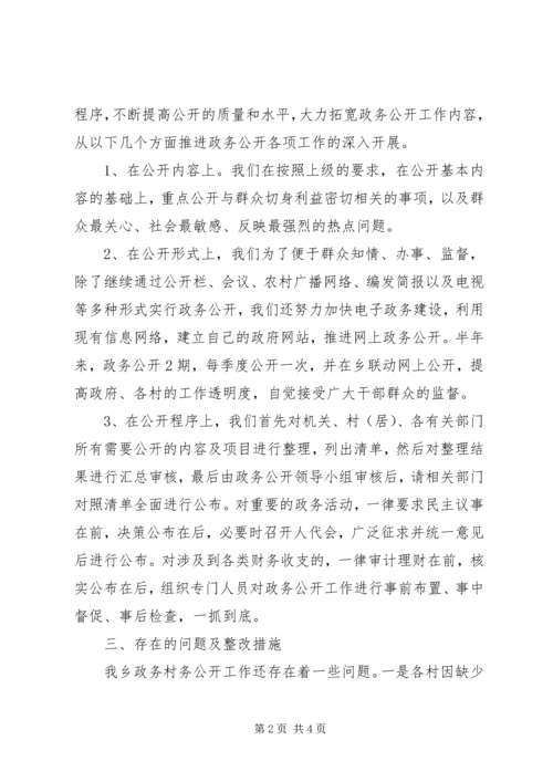 乡镇政务公开自查报告.docx