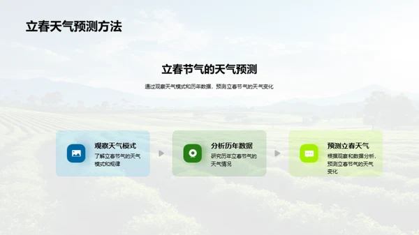 立春节气的奥秘解析