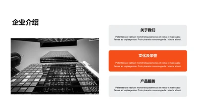 单色扁平3项企业介绍