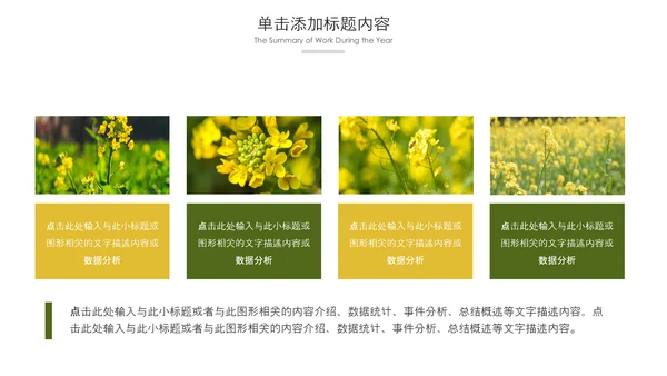 春天乡村旅游油菜花风景油菜花田PPT模板