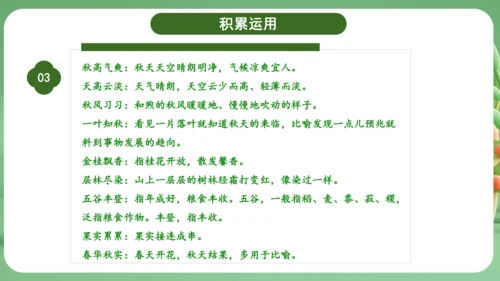 统编版2024三年级语文上册第二单元复习   课件