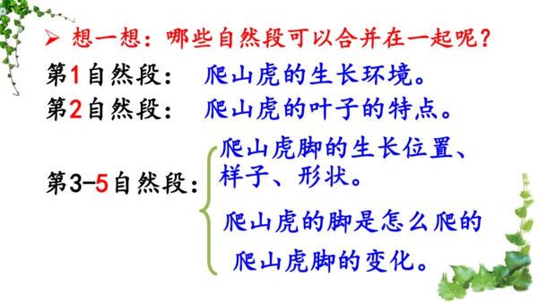 10 爬山虎的脚  课件