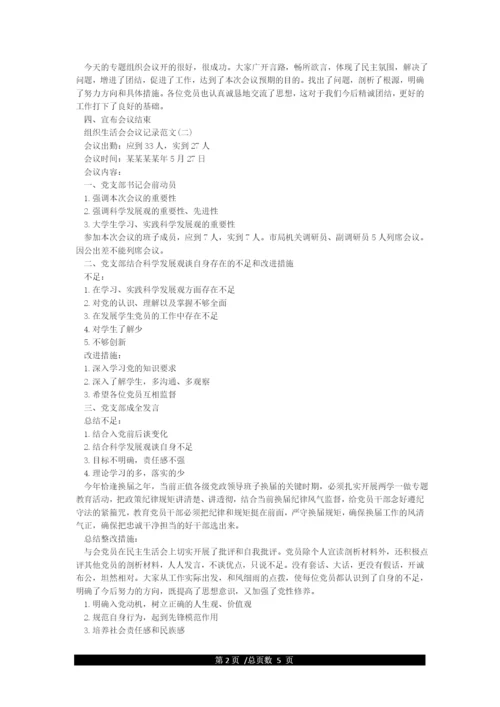 党支部组织生活会会议记录.docx