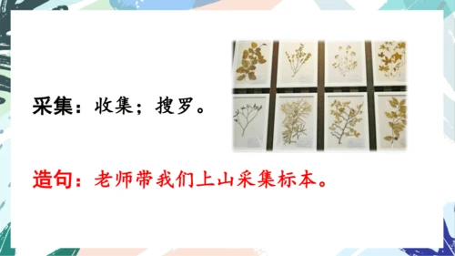 21.青蛙卖泥塘（第一课时）教学课件