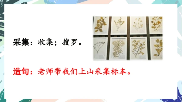 21.青蛙卖泥塘（第一课时）教学课件